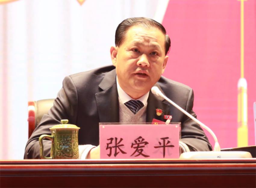 张爱平同志宣读中共开云网页版,开云（中国）官方第一届党委成员分工及纪委成员分工